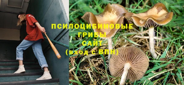 PSILOCYBIN Володарск