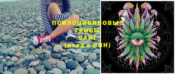 PSILOCYBIN Володарск